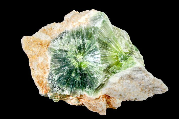 Radiating, Green Wavellite Crystal Aggregation - Arkansas #163034
